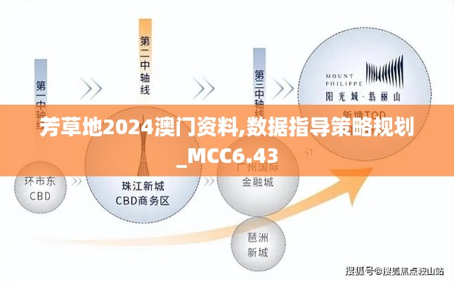 芳草地2024澳门资料,数据指导策略规划_MCC6.43