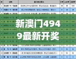 新澳门4949最新开奖记录,快速解答方案设计_YWN7.36