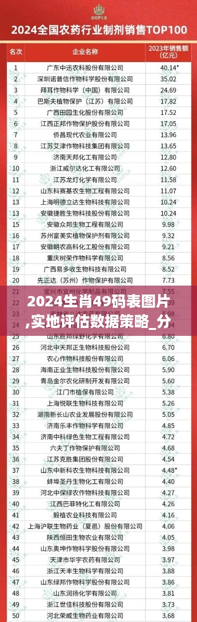 2024生肖49码表图片,实地评估数据策略_分析版LTU5.61