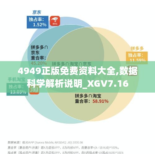 4949正版免费资料大全,数据科学解析说明_XGV7.16