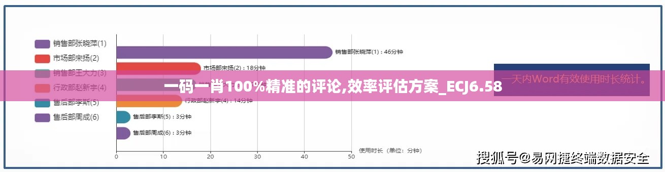 一码一肖100%精准的评论,效率评估方案_ECJ6.58