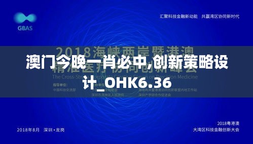 澳门今晚一肖必中,创新策略设计_OHK6.36