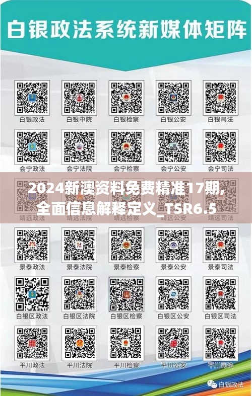 2024新澳资料免费精准17期,全面信息解释定义_TSR6.5