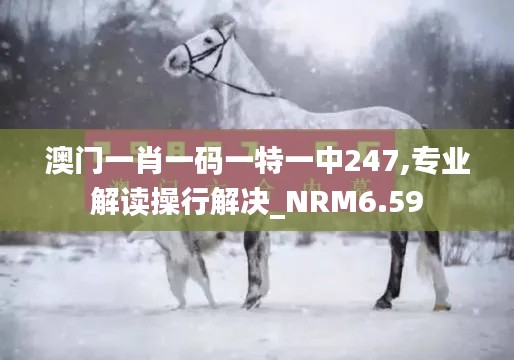 澳门一肖一码一特一中247,专业解读操行解决_NRM6.59