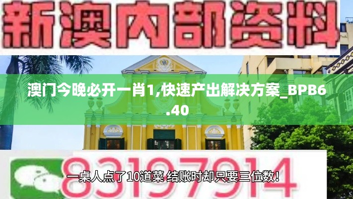 澳门今晚必开一肖1,快速产出解决方案_BPB6.40