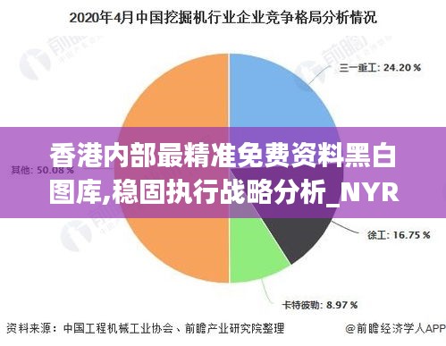 香港内部最精准免费资料黑白图库,稳固执行战略分析_NYR7.56