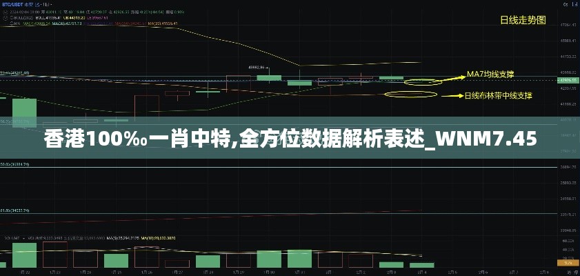 香港100‰一肖中特,全方位数据解析表述_WNM7.45