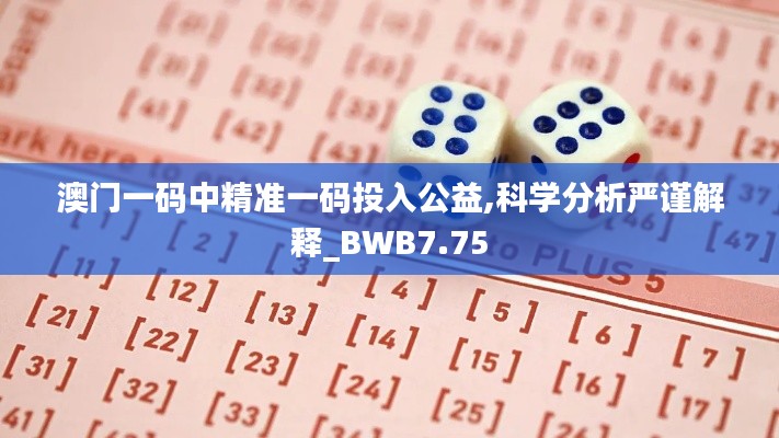 澳门一码中精准一码投入公益,科学分析严谨解释_BWB7.75