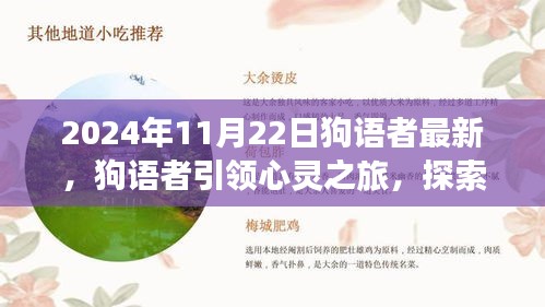 狗语者引领心灵之旅，探索自然美景的奇妙之旅（最新2024年11月22日）