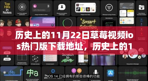 历史上的11月22日草莓视频iOS版下载热点及其多元观点探讨