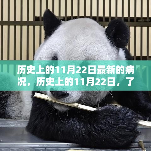 历史上的11月22日病况最新动态，应对与了解详细步骤指南