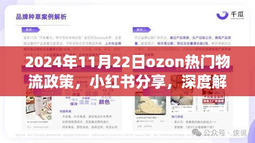 深度解读，2024年Ozon热门物流政策与跨境电商新动向解析（小红书分享）