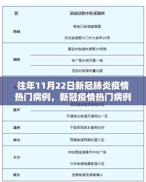 往年11月22日新冠疫情热门病例详解与追踪研究指南