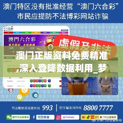 澳门正版资料免费精准,深入登降数据利用_梦想版BEQ5.84