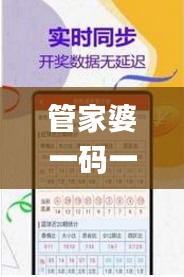 管家婆一码一肖100中奖71期,决策支持方案_内置版LBN5.16