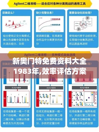 新奥门特免费资料大全1983年,效率评估方案_美学版VML5.64