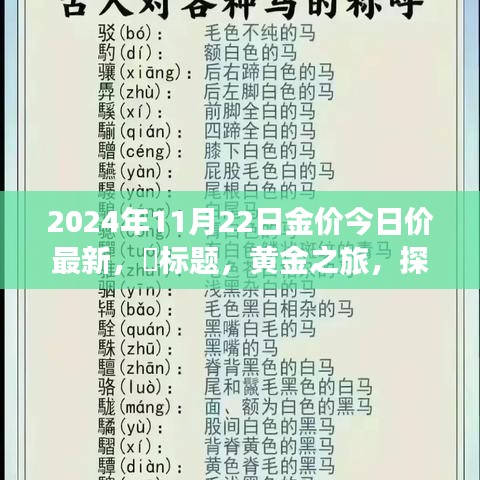 黄金之旅，今日金价最新动态与探索自然美景的双重体验寻找内心的宁静与黄金价值