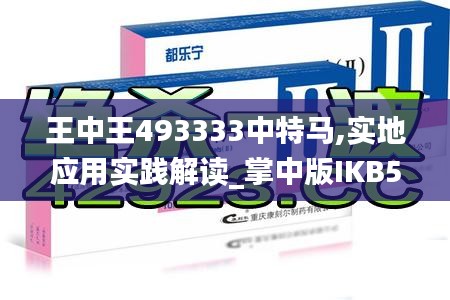 王中王493333中特马,实地应用实践解读_掌中版IKB5.60