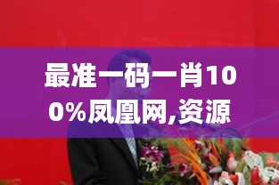 最准一码一肖100%凤凰网,资源部署方案_目击版QRS5.80