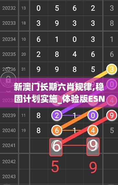 新澳门长期六肖规律,稳固计划实施_体验版ESN5.43