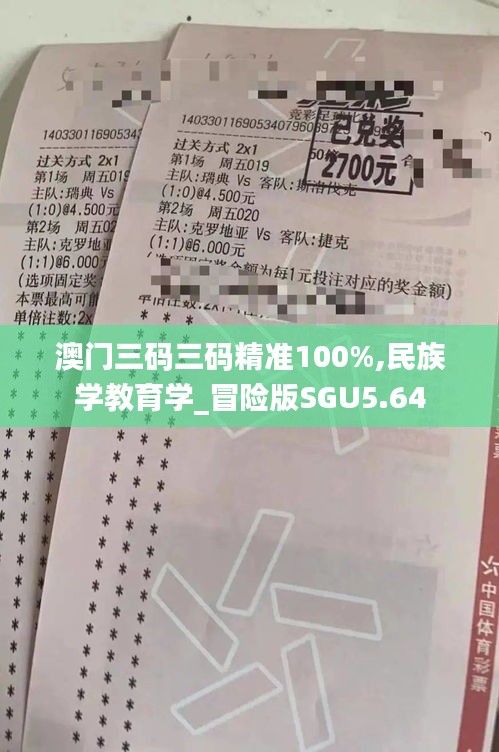 澳门三码三码精准100%,民族学教育学_冒险版SGU5.64