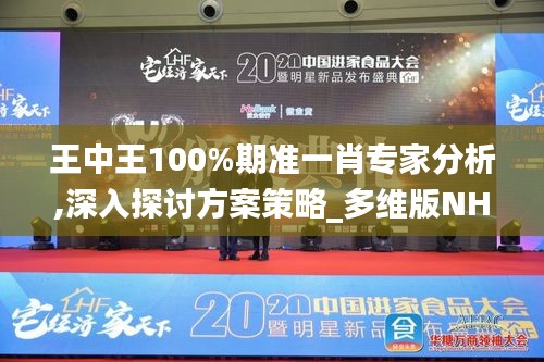 王中王100%期准一肖专家分析,深入探讨方案策略_多维版NHL5.68