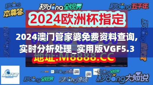 2024澳门管家婆免费资料查询,实时分析处理_实用版VGF5.3