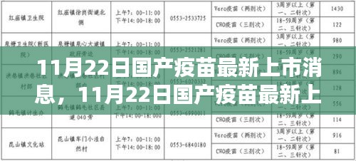 国产疫苗最新上市消息全面指南，接种与了解教程