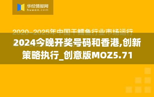 2024今晚开奖号码和香港,创新策略执行_创意版MOZ5.71