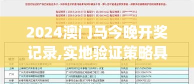 2024澳门马今晚开奖记录,实地验证策略具体_开放版NXG5.86