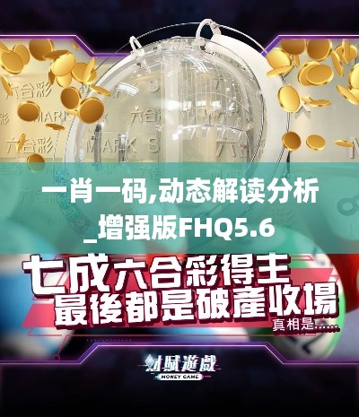 一肖一码,动态解读分析_增强版FHQ5.6