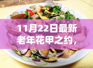 老年花甲之约深度评测与介绍，最新11月22日更新