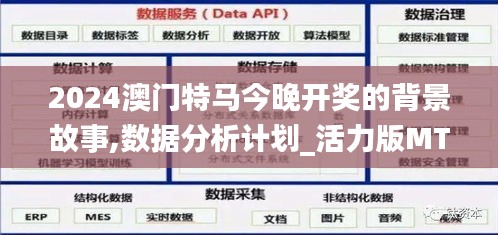 2024澳门特马今晚开奖的背景故事,数据分析计划_活力版MTF5.1