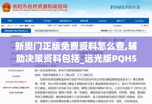 新奥门正版免费资料怎么查,辅助决策资料包括_远光版PQH5.4