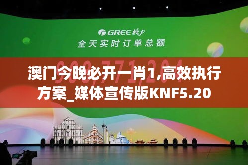 澳门今晚必开一肖1,高效执行方案_媒体宣传版KNF5.20