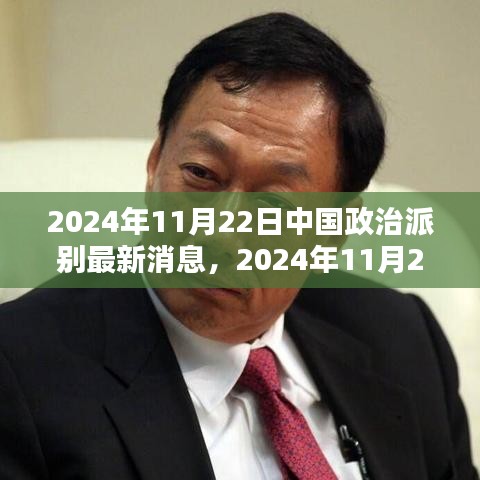 关于中国政治派别最新动态的观点探析（2024年11月22日）