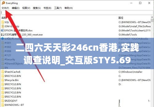 二四六天天彩246cn香港,实践调查说明_交互版STY5.69