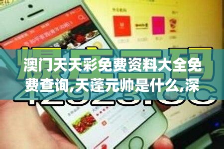 澳门天天彩免费资料大全免费查询,天蓬元帅是什么,深究数据应用策略_本地版FHT5.65