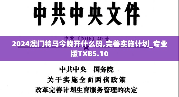 2024澳门特马今晚开什么码,完善实施计划_专业版TXB5.10