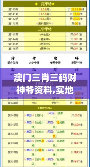 澳门三肖三码财神爷资料,实地数据验证_专业版PCZ5.94