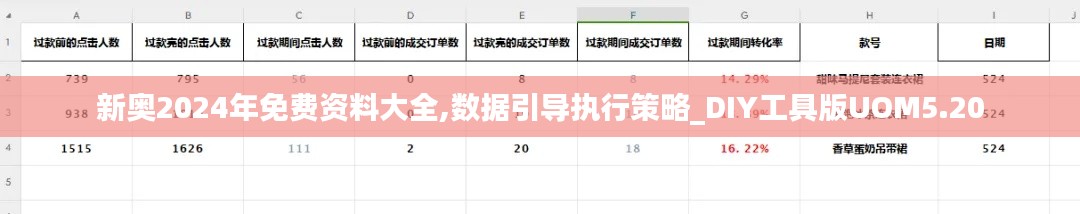 新奥2024年免费资料大全,数据引导执行策略_DIY工具版UOM5.20