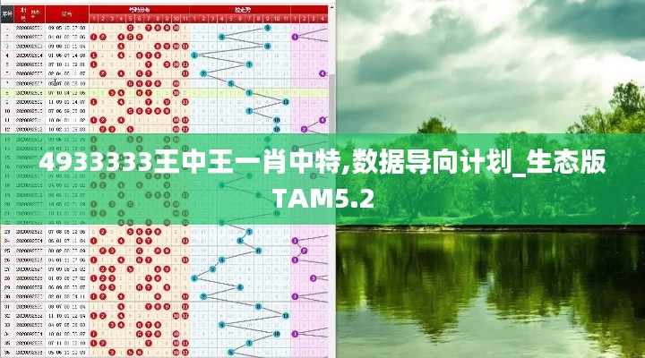 4933333王中王一肖中特,数据导向计划_生态版TAM5.2