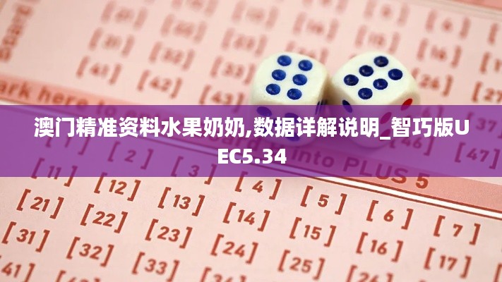 澳门精准资料水果奶奶,数据详解说明_智巧版UEC5.34