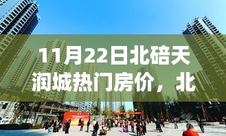 北碚天润城房价风云纪实，11月22日热门楼盘最新动态