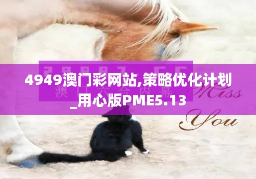 4949澳门彩网站,策略优化计划_用心版PME5.13