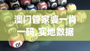 澳门管家婆一肖一码,实地数据评估分析_时尚版JGB5.59