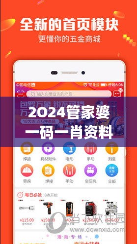 2O24管家婆一码一肖资料,仿真方案实施_便携版MDX5.99