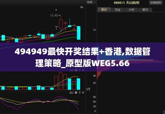 494949最快开奖结果+香港,数据管理策略_原型版WEG5.66