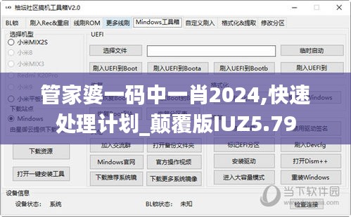 管家婆一码中一肖2024,快速处理计划_颠覆版IUZ5.79