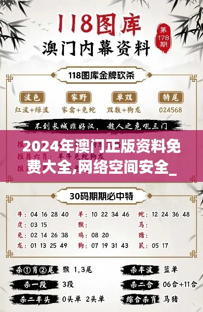 2024年澳门正版资料免费大全,网络空间安全_体现版DVA5.94